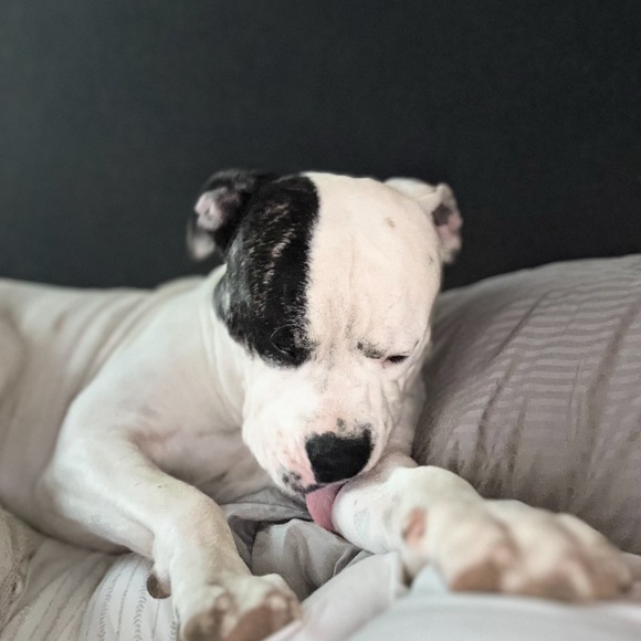 Tiffany is going live 🩵🌹🩷❤️🩷🌹🩵Deals and Steals - Picture 4 of 11